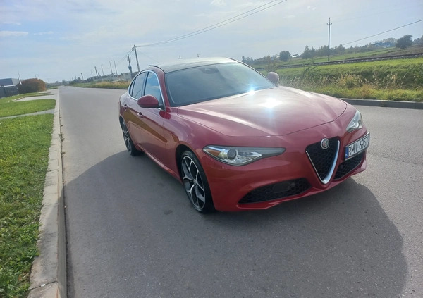 Alfa Romeo Giulia cena 114000 przebieg: 34000, rok produkcji 2020 z Mielec małe 67